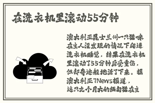 HLW32.IIFE葫芦娃官网